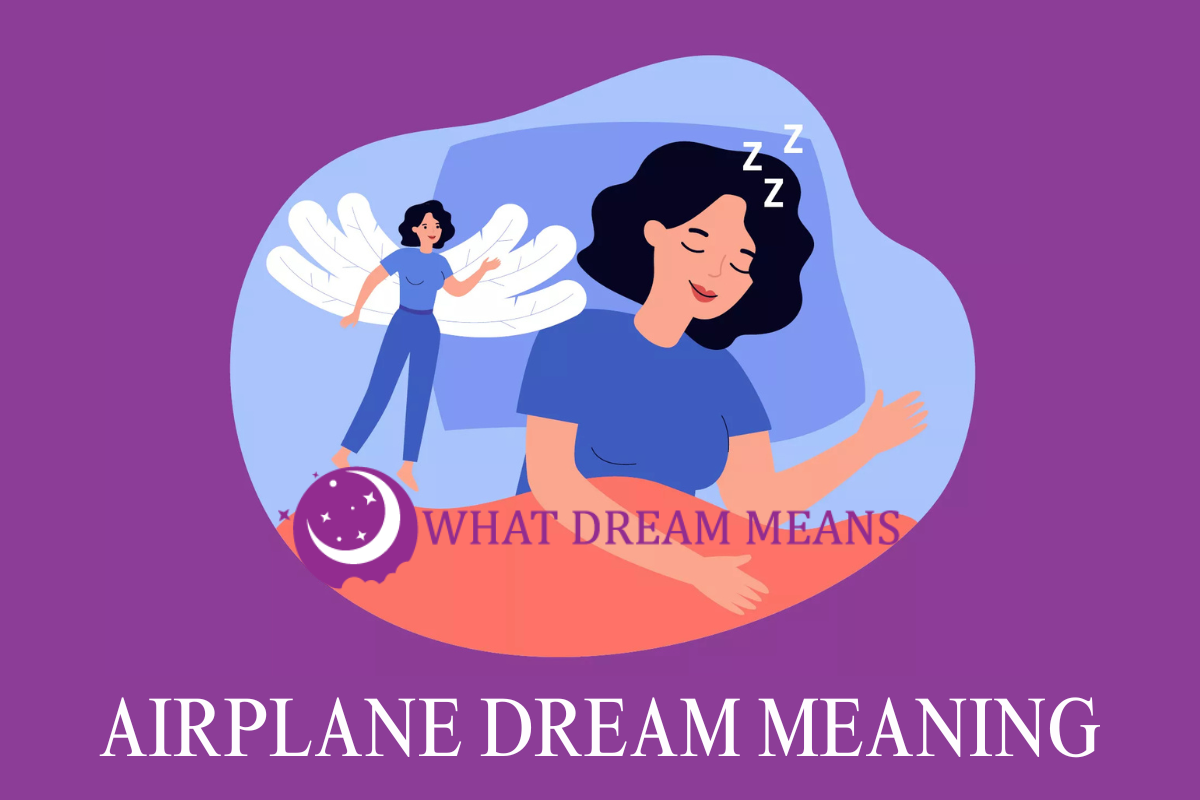 What Does It Mean To Dream About Airplane?