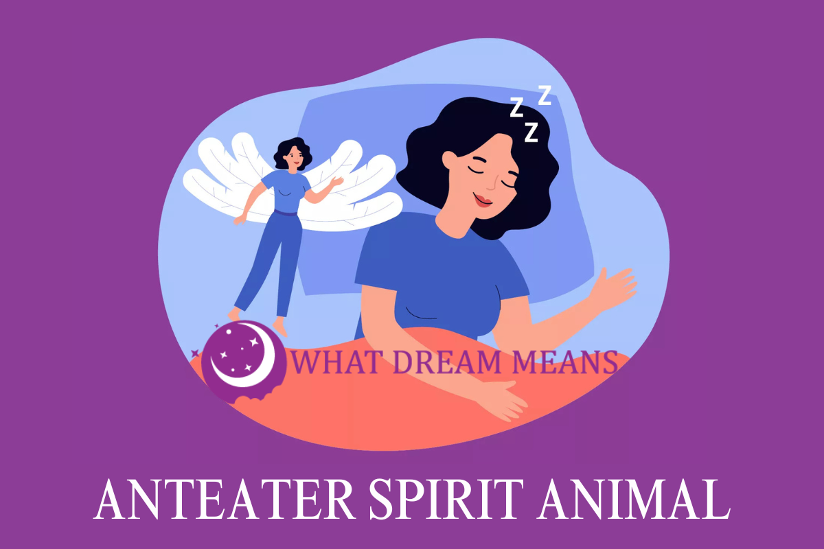 Anteater Spirit Animal, Totem, Symbolism and Meaning