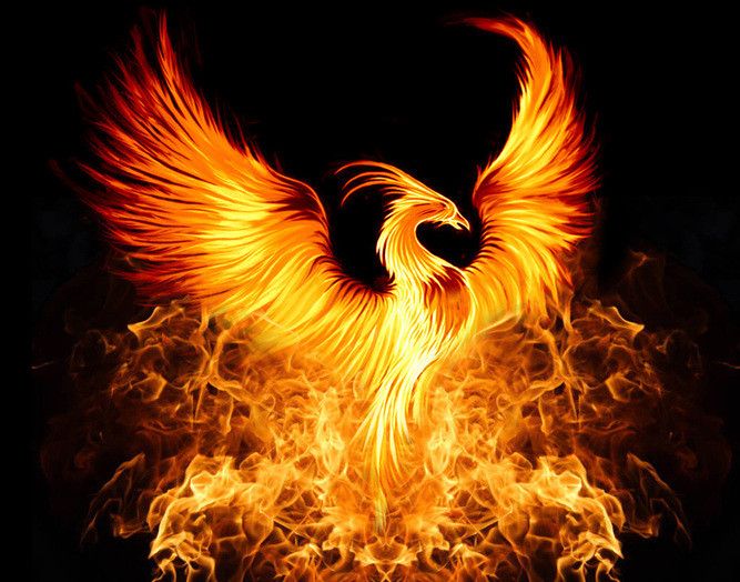 Phoenix Symbolism & Meaning: Ultimate Guide - Dreamersia