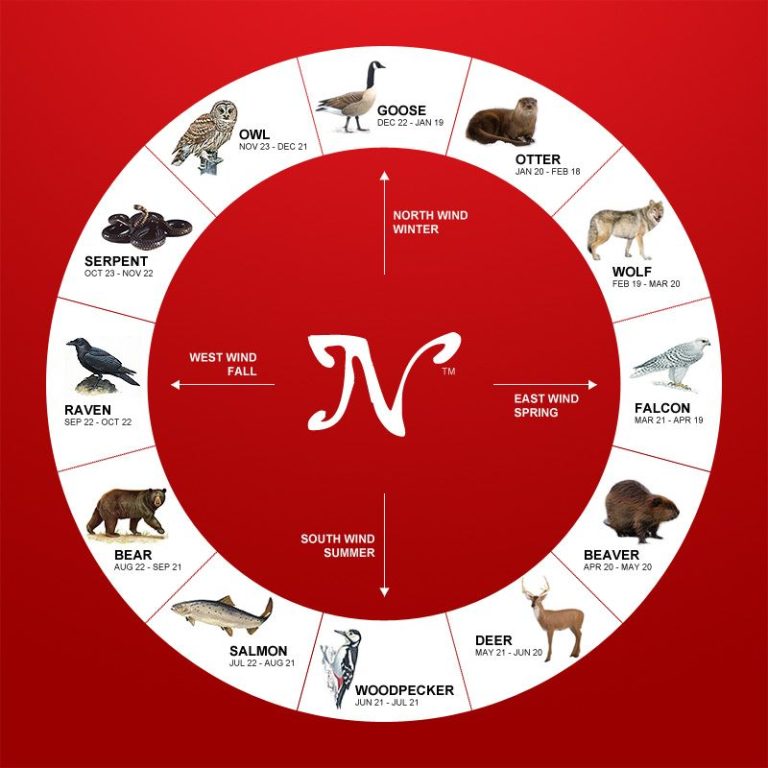 Know Your Native American Zodiac Sign and Astrology - What Dream Means