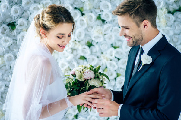 Bridegroom Meaning In English