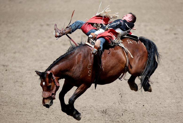 What Does It Mean to Dream About Stampede?