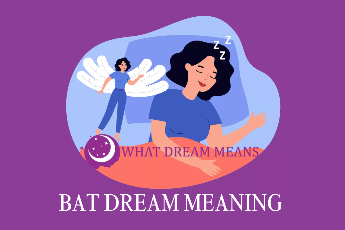 What Does it Mean to Dream About Bat?