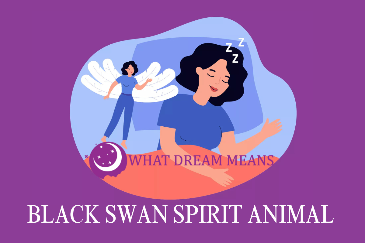 Black Swan Spirit Animal, Totem, Symbolism and Meaning