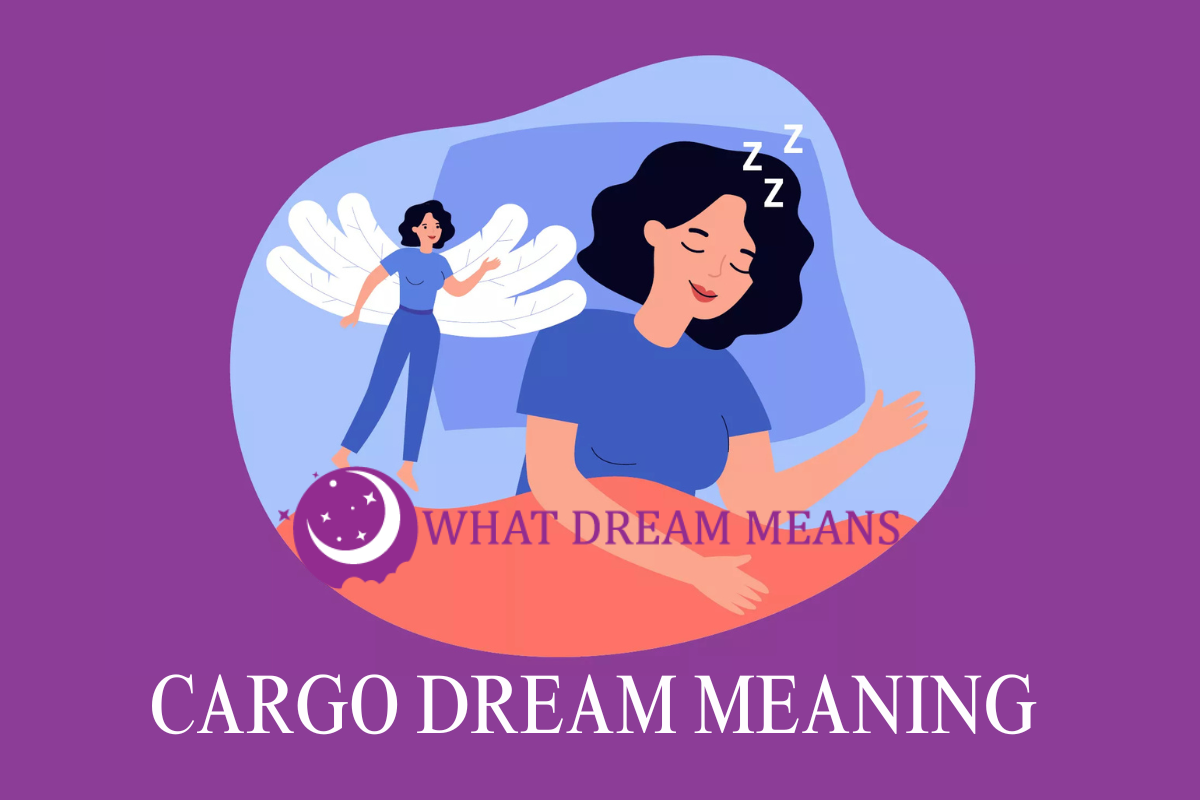 What Does it Mean to Dream About Cargo?