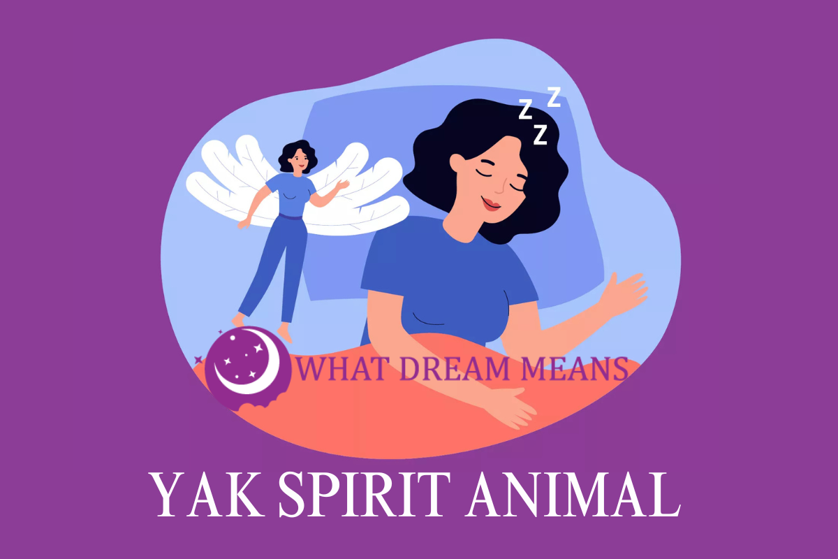 Yak Spirit Animal, Totem, Symbolism and Meaning