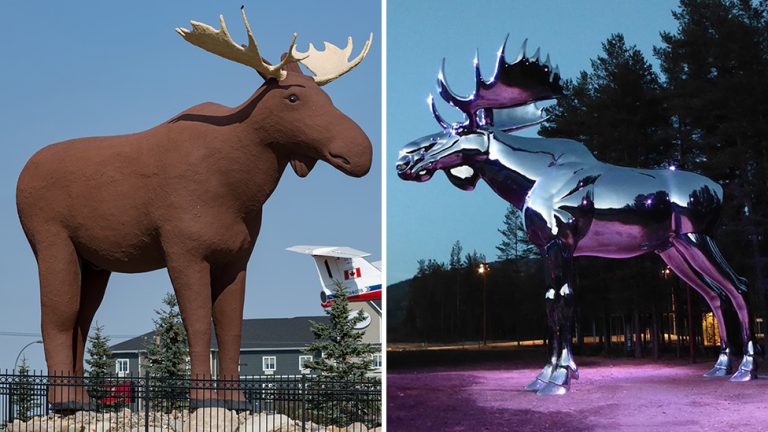 Moose and Elk: Spirit Animal, Totem, Symbolism and Meaning