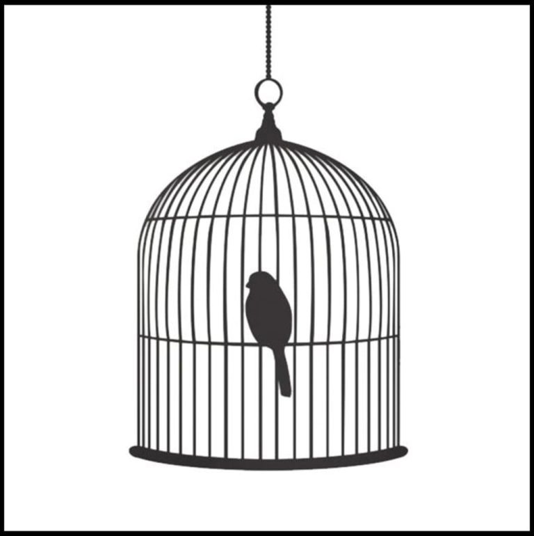 what-does-it-mean-to-dream-about-caged-bird